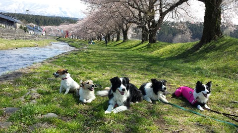 20140419_105250