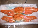 sibayamagani