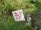 �ޥॷ����