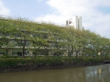 �餫�龮�ع�