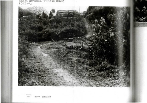 BlogPaint