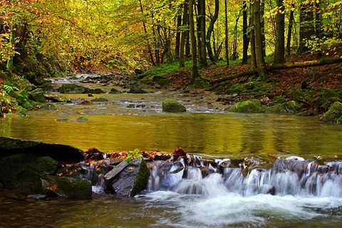 poland-3903482__340