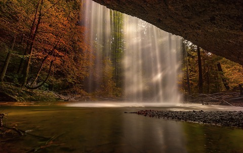 nature-3719233_1280