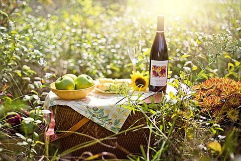 picnic-3661796__340