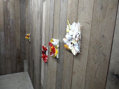 P6300083
