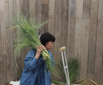 スクリーンショット(2018-05-13 0.00.28)