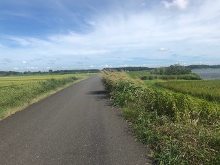 2018.8.15.