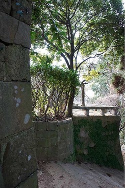 DSC00329_resize1