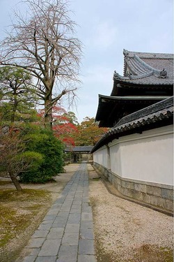 DSC00358_resize2