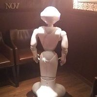 15048232_954724187965128_8913398655055036416_n