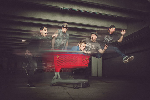 zebrahead