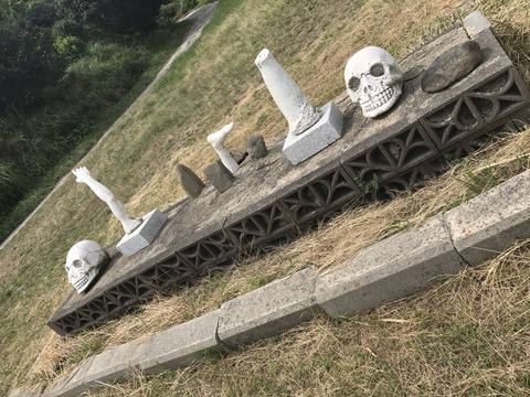 204561