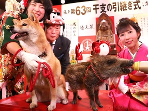 1545881102_photo