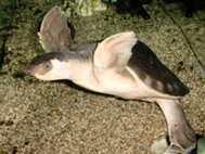 45b5baef.jpg