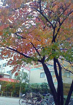 8131fa83.jpg