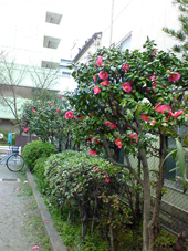 84e2db37.jpg