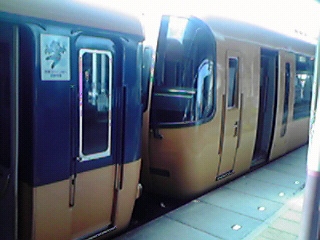 a5a62d56.jpg
