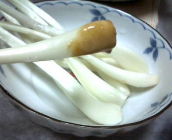 e33c524b.jpg