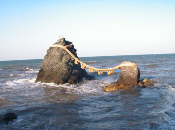 f79251e6.png