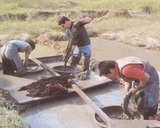 08102cad.jpg