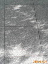 3f7e0e41.jpg