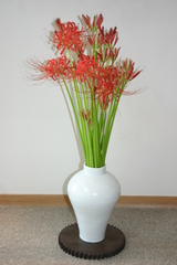 5ff7a662.JPG