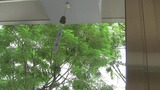 82b54231.jpg