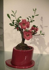 89353f3d.JPG