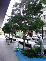 d3958fe0.jpg