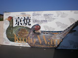 d60dbfc9.JPG