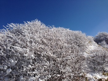 写真 5 (2)