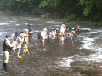 写真 3 (2)