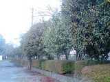 e00719d9.jpg