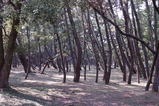 b851054e.JPG