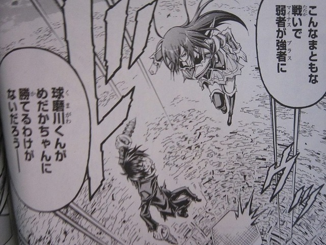 medaka_11_01
