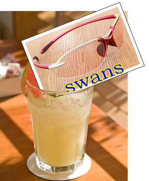 swans21