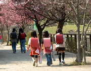 『先生、先生』に支配欲が芽生えた教諭 13歳未満の小学生女児を強姦