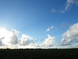 DSCF1664