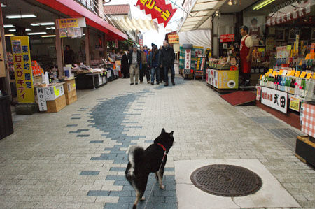 DSC07334