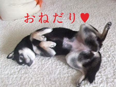 DSCF9096