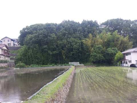 20180610_115234