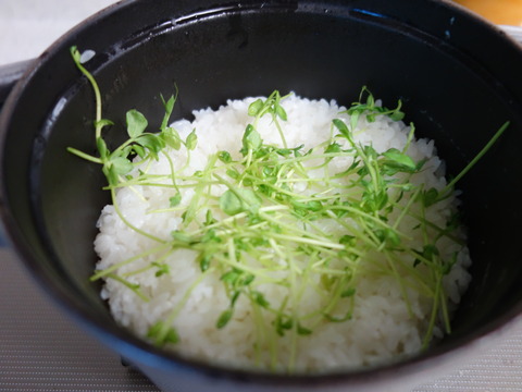 DSC00124