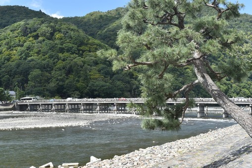 渡月橋