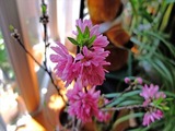 DSCF6849_R