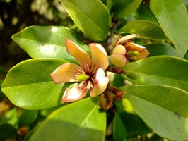 DSCF2431_R