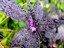 DSCF8961_R