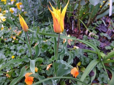 DSCF8373_R