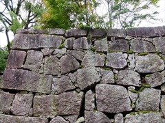 DSCF9514_R