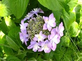 DSCF8010_R