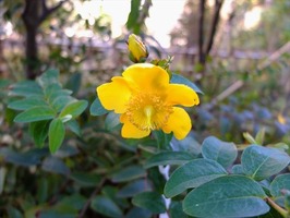 DSCF5307_R